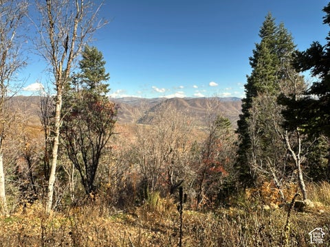 Photo of 5946 E UPPER WHITMORE Dr N #99, Springville, UT 84663 (MLS # 2193346)