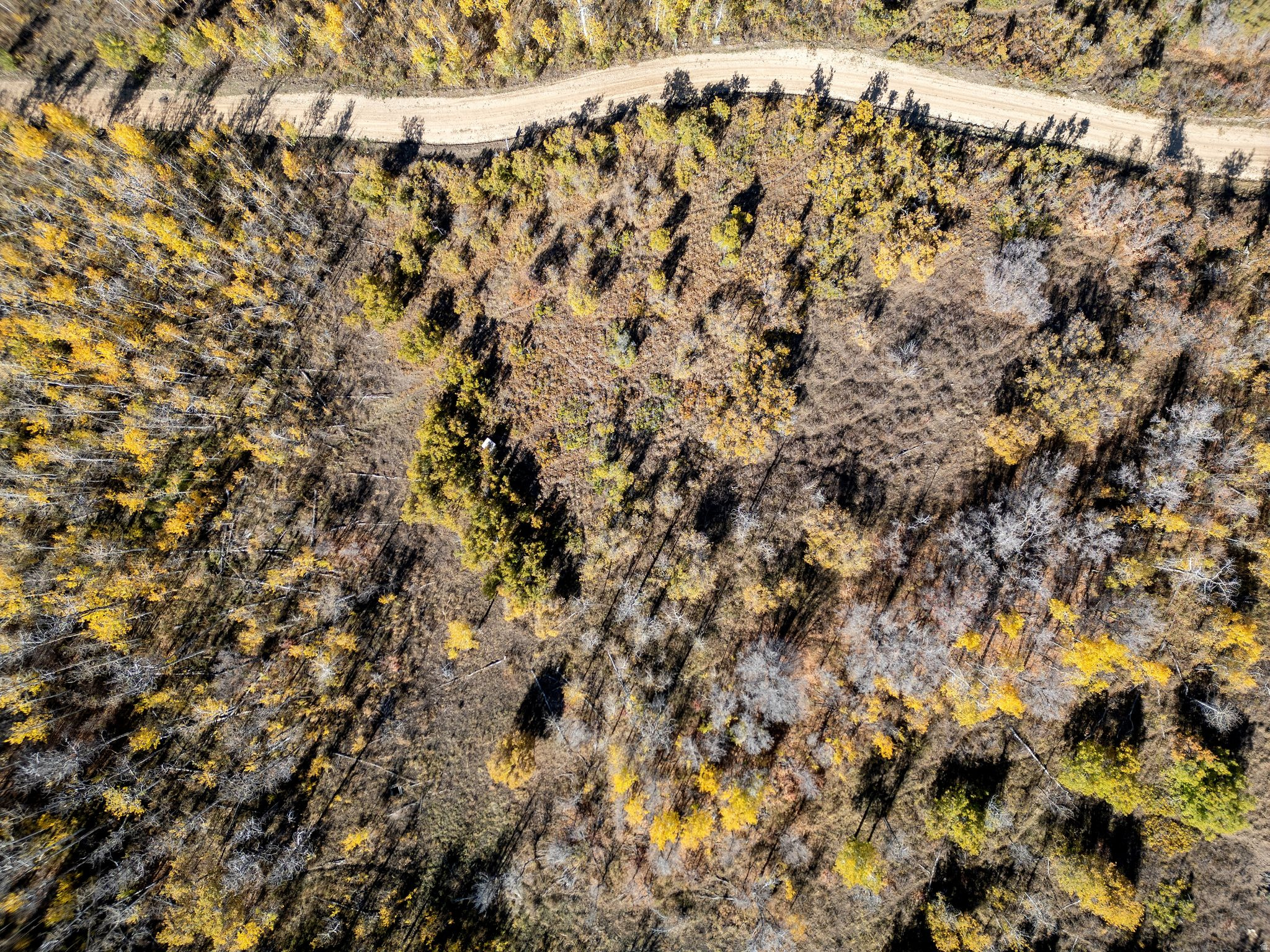 FOREST MEADOW RANCH SUBDIVISION - Land