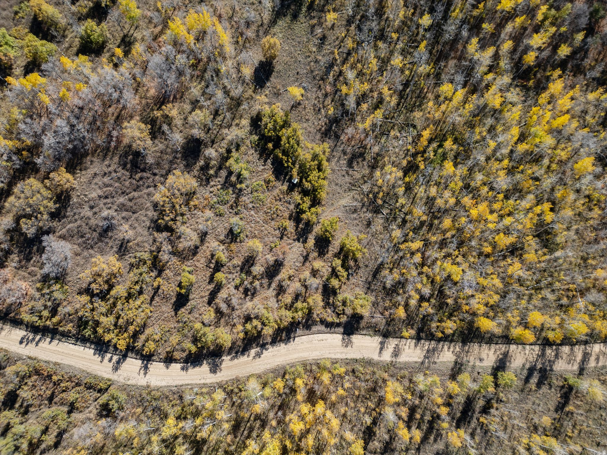 FOREST MEADOW RANCH SUBDIVISION - Land