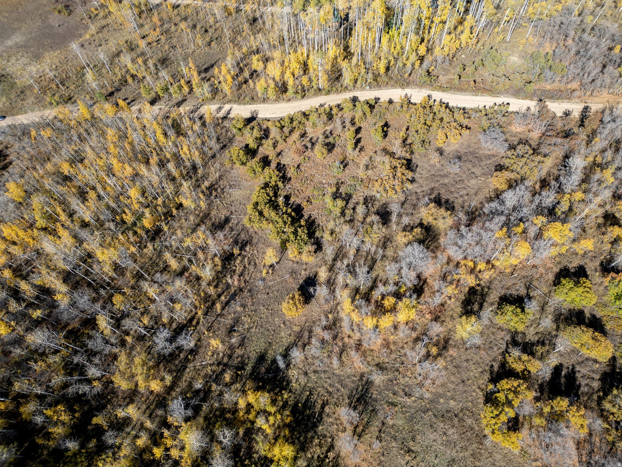 FOREST MEADOW RANCH SUBDIVISION - Land