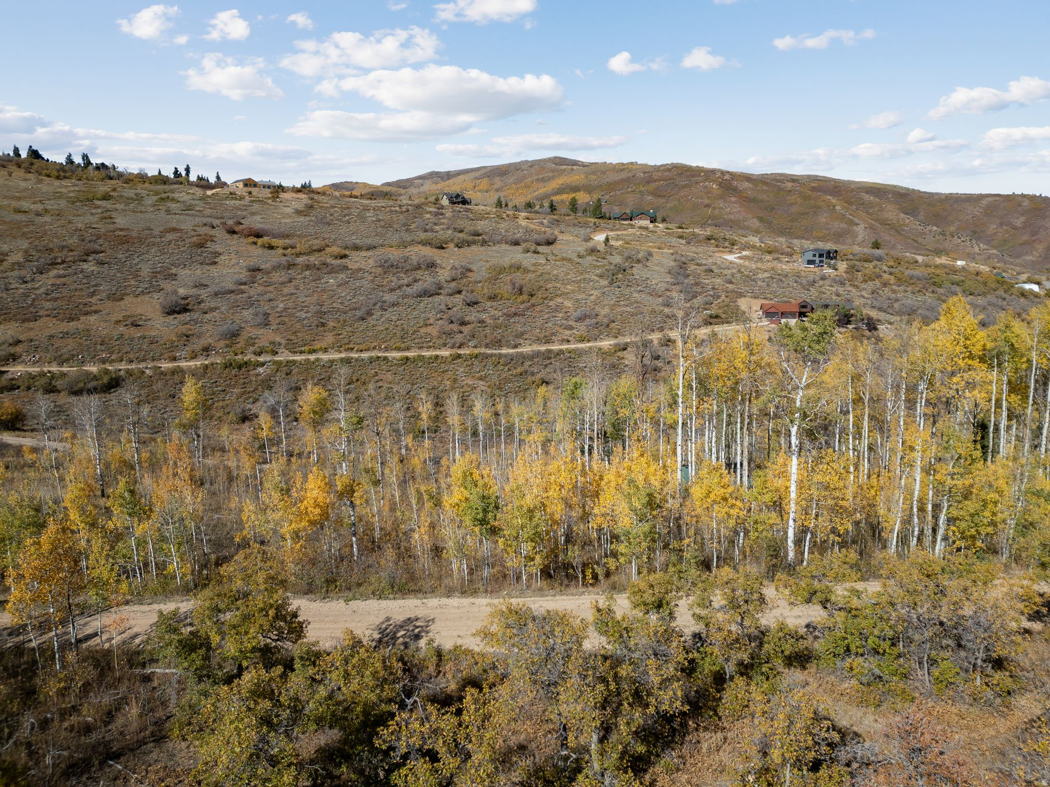 FOREST MEADOW RANCH SUBDIVISION - Land
