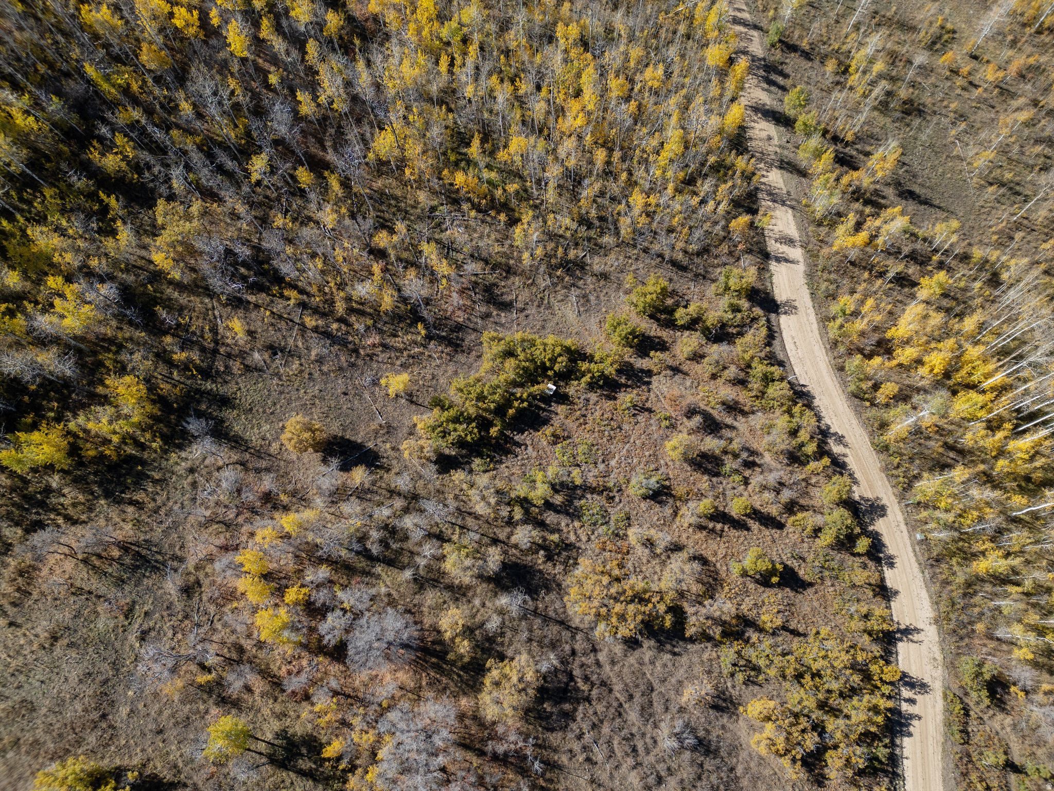 FOREST MEADOW RANCH SUBDIVISION - Land