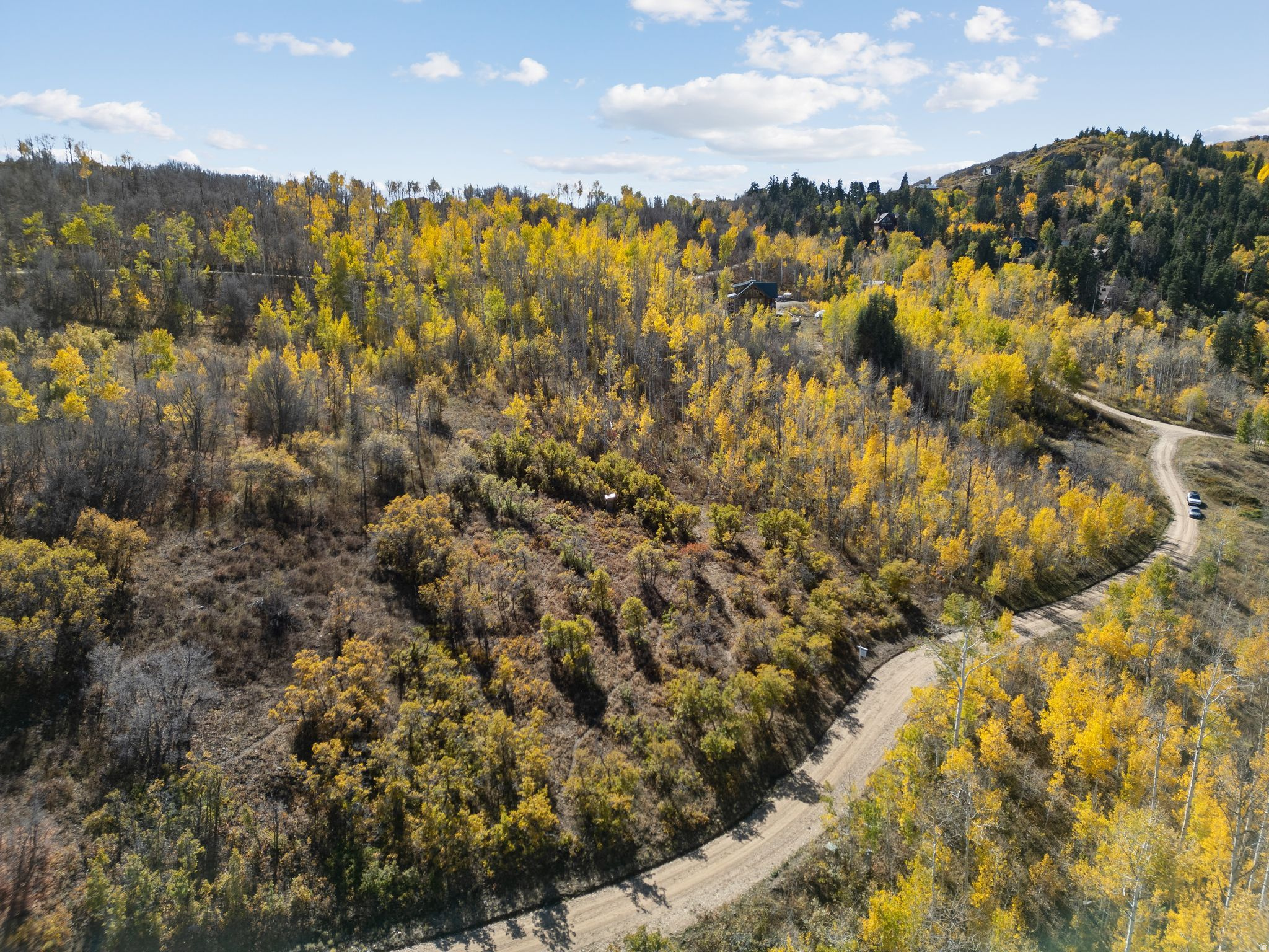 FOREST MEADOW RANCH SUBDIVISION - Land