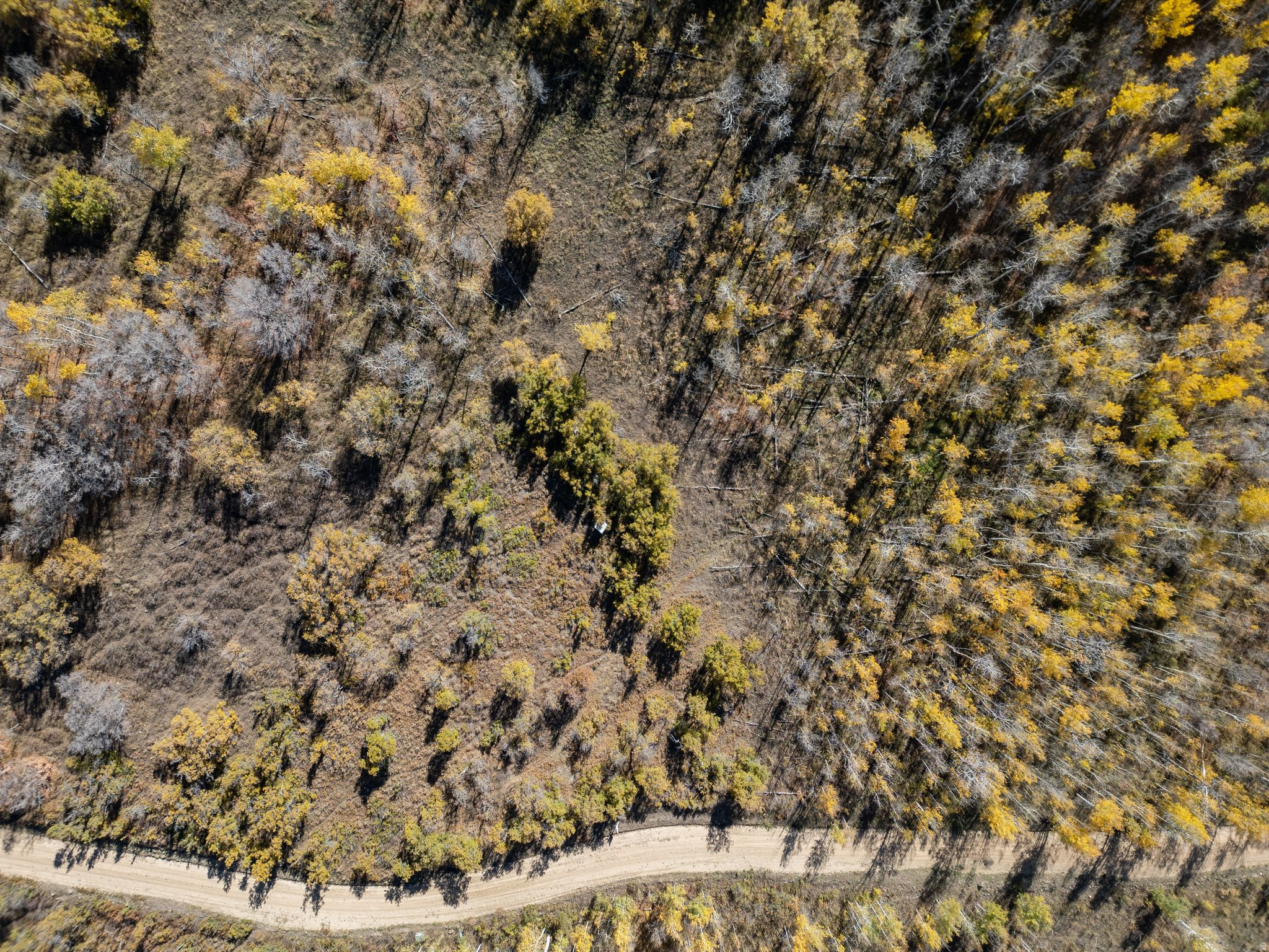 FOREST MEADOW RANCH SUBDIVISION - Land