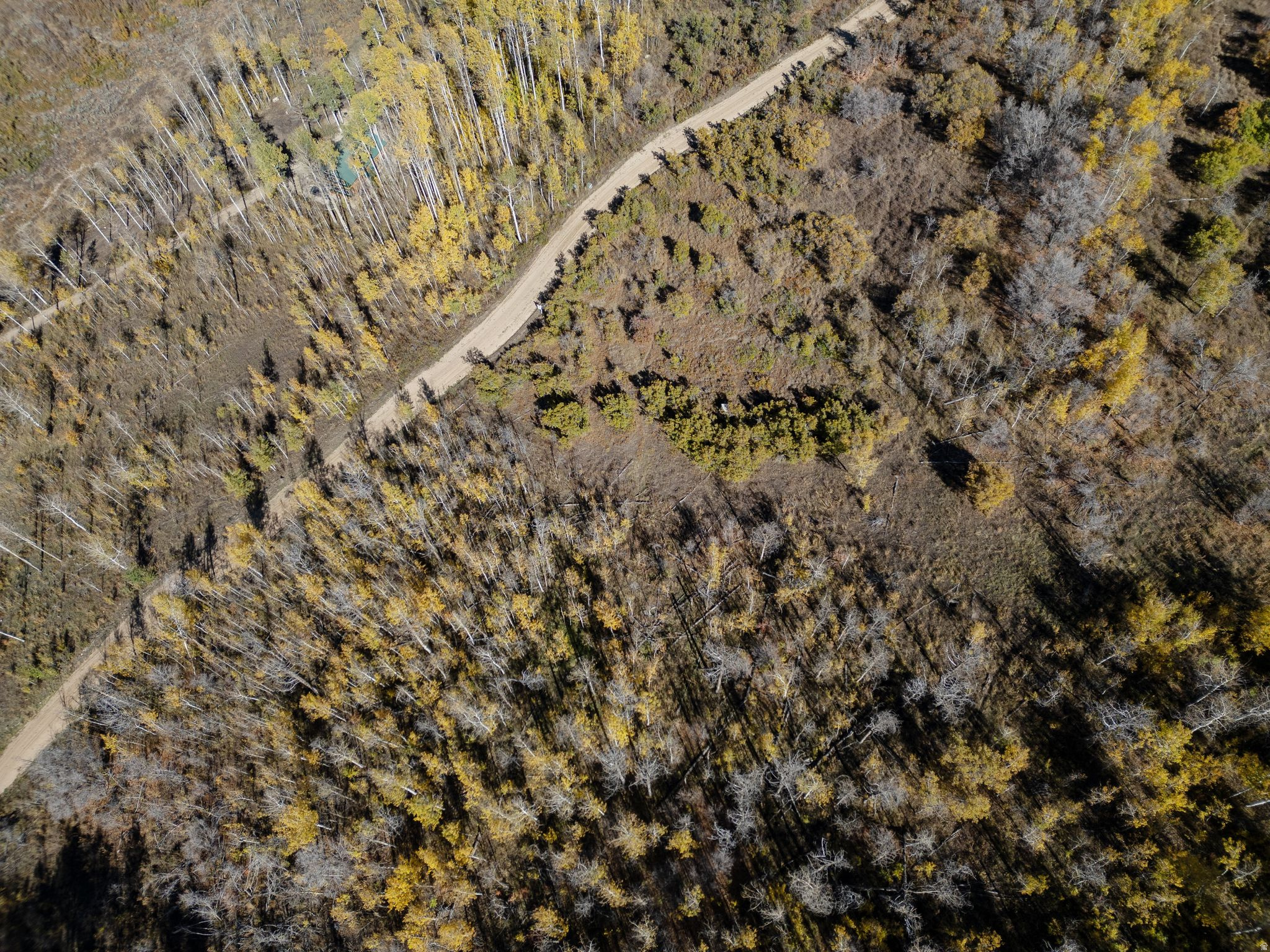 FOREST MEADOW RANCH SUBDIVISION - Land