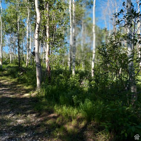 Tiny photo for 1 E POWDER MTN CIR #22, Spanish Fork, UT 84660 (MLS # 2029304)