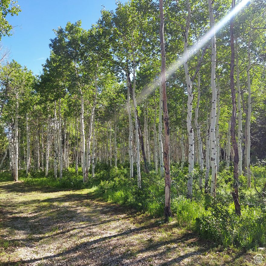 For sale by Owner Agent. Aspens line the access road across the bottom of this lot then open up  to a large gravel pad area with beautiful views of Pines and distant mountains in the middle section. Build your nest for stunning views or perfect for an RV/Camping getaway. Beautiful sunrises and sunsets are part of the unobstructed views. Just a quick drive to Schofield Reservoir and there are miles and miles of trails just across the highway good for off-roading, biking, hiking, or horseback. Conduit has been ran for power and water is stubbed at the pad with a frost free bib. HOA costs maintain the great roads within the community and the electronic security gate keeps area private. Green belt for grazing means $4 property tax, the trade off is no fencing on property, but there is  already an access gate securing the property in addition to the main gate to the community.