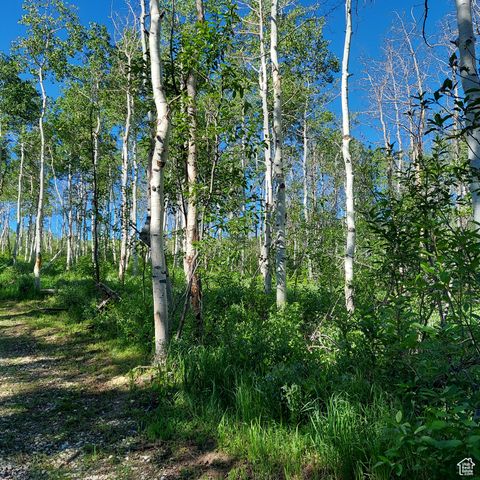 Tiny photo for 1 E POWDER MTN CIR #22, Spanish Fork, UT 84660 (MLS # 2029304)