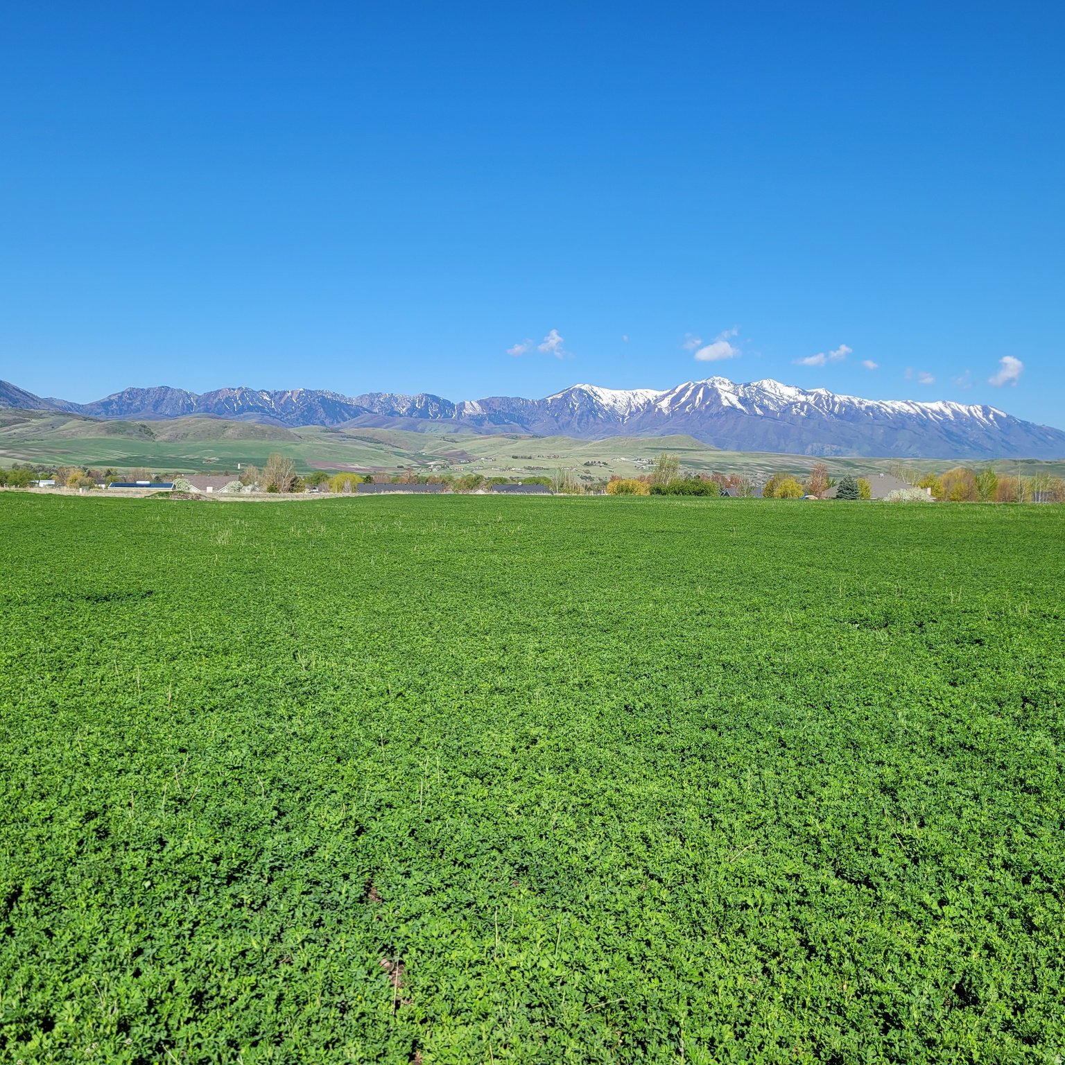 PARADISE ESTATES SMA - Land