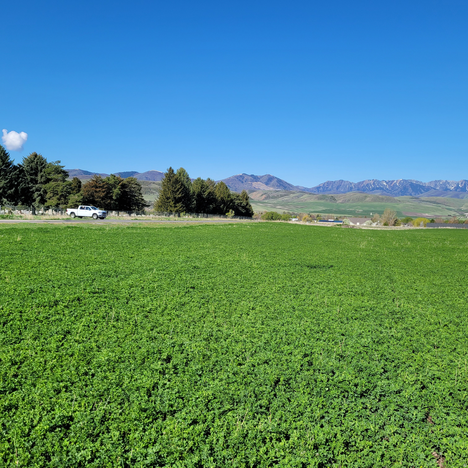 PARADISE ESTATES SMA - Land