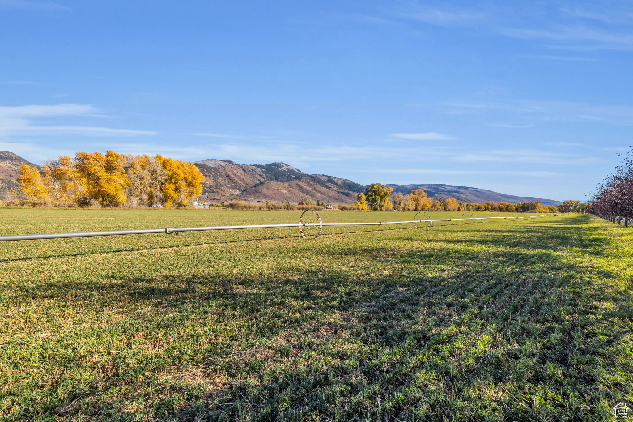 189 E Weber Rd #1, Oakley, Utah image 11