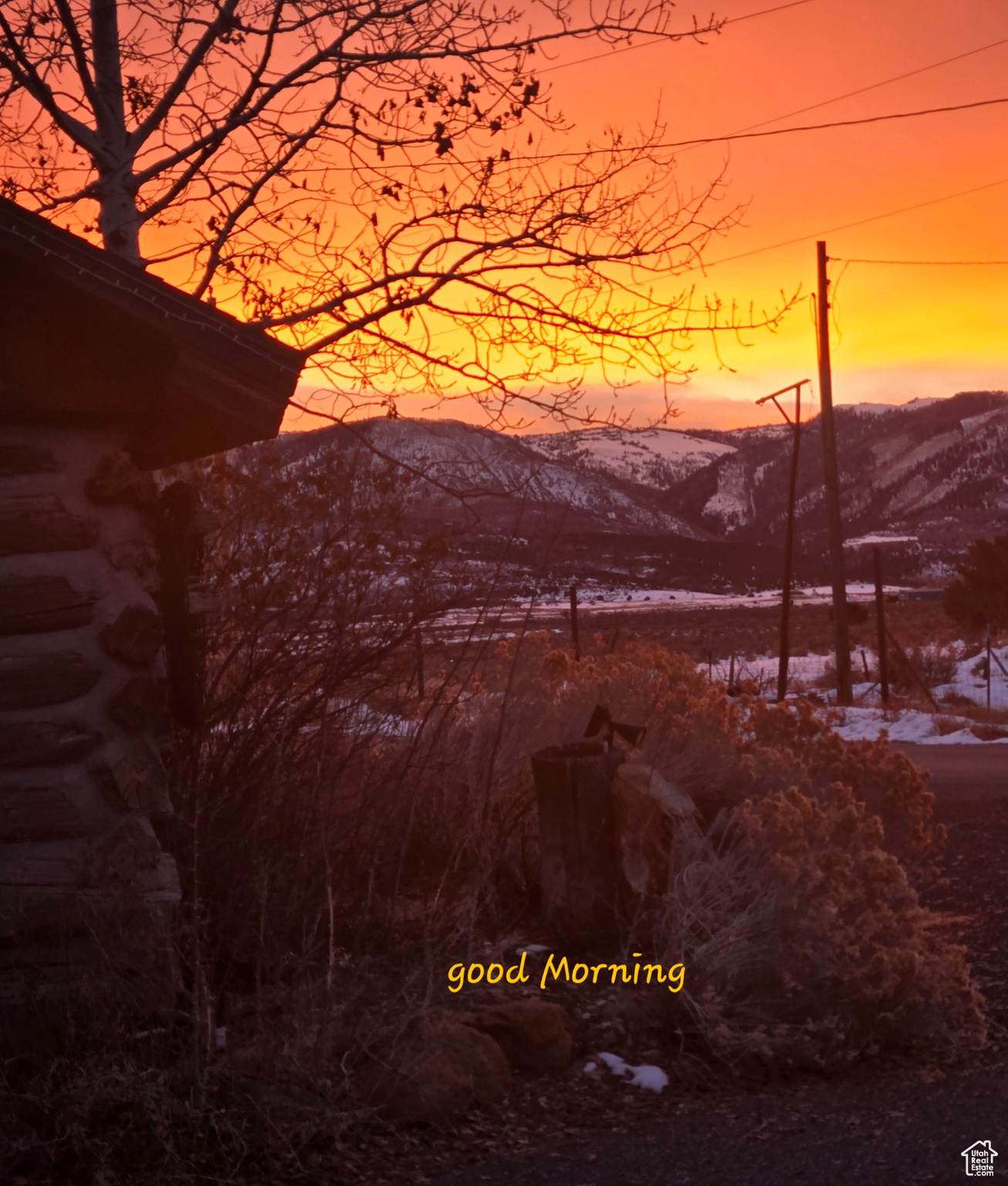 YOUNG PROPERTY - Residential