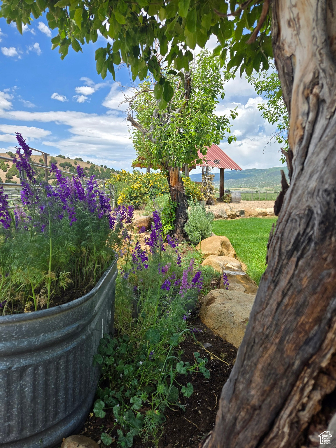 YOUNG PROPERTY - Residential