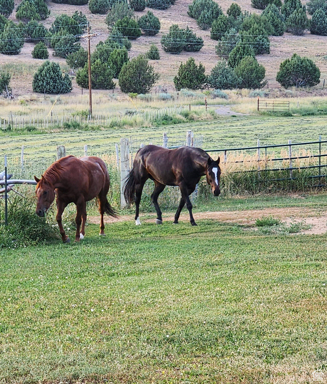 YOUNG PROPERTY - Residential