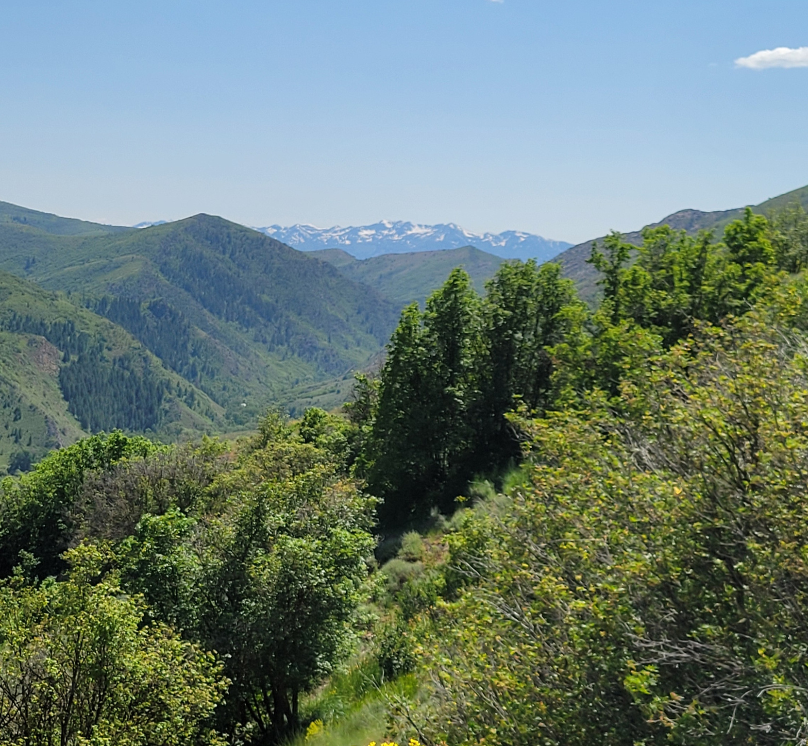 EVERGREEN PARK 01 - Land