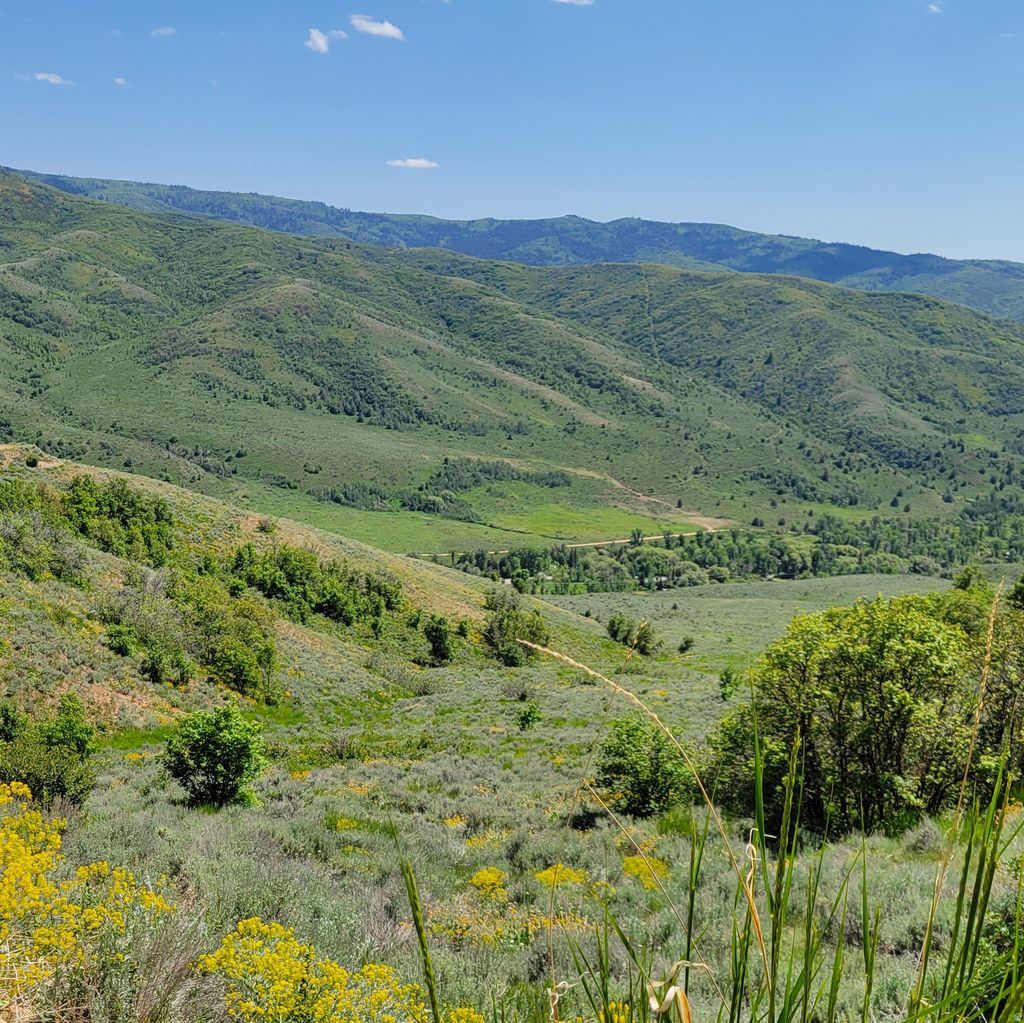 Photo of 12737 E HIGH PINE CIR N #54, Huntsville, UT 84317 (MLS # 2148439)