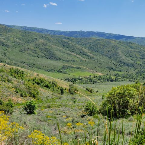 Vacant Land For Sale - 12737 E High Pine Cir #54<br/> Huntsville, UT 84317
