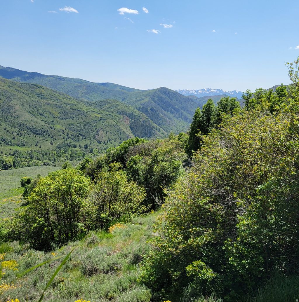 Photo of 12737 E HIGH PINE CIR N #54, Huntsville, UT 84317 (MLS # 2148439)