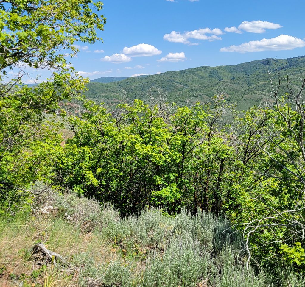 Photo of 12737 E HIGH PINE CIR N #54, Huntsville, UT 84317 (MLS # 2148439)