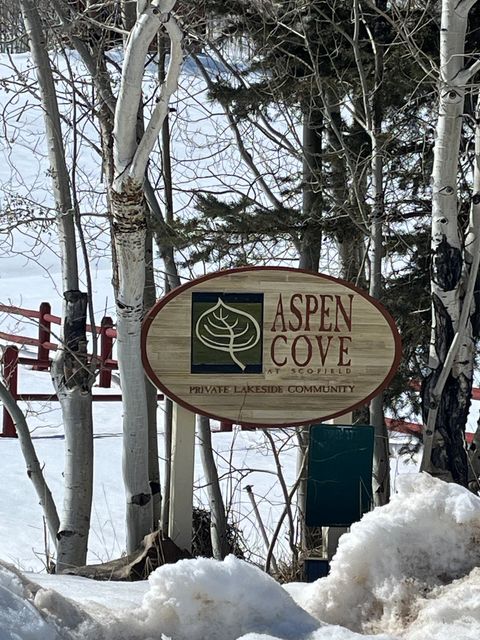 Tiny photo for 138 ASPEN COVE DR #138, Scofield, UT 84526 (MLS # 2141759)