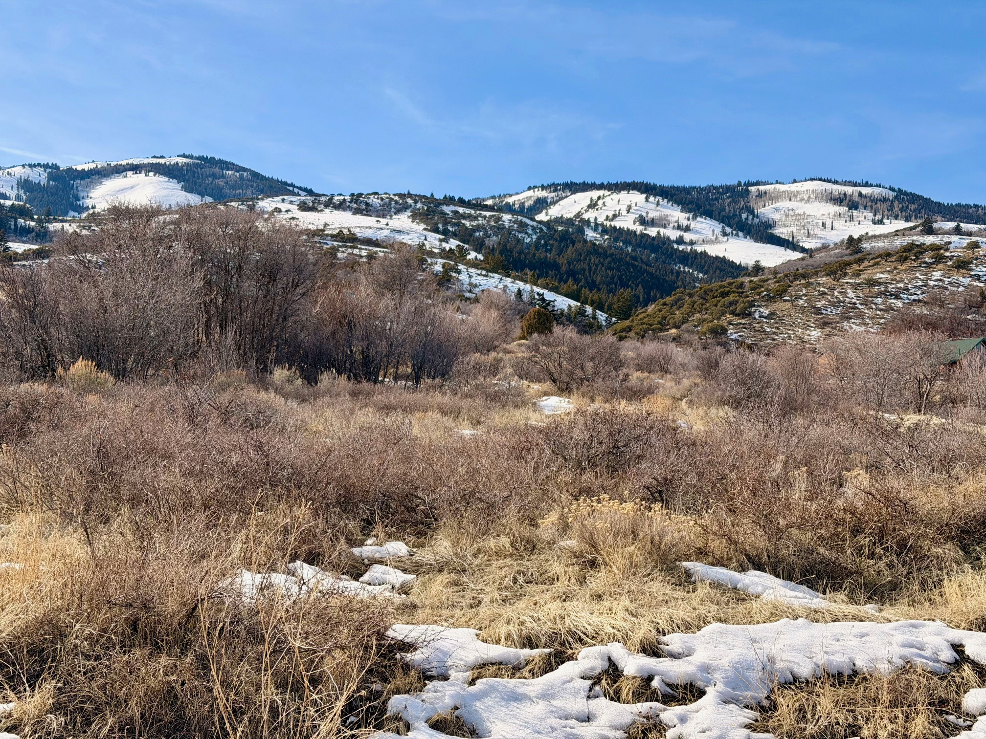 ELK HOLLOW RANCHES PH 1 - Land