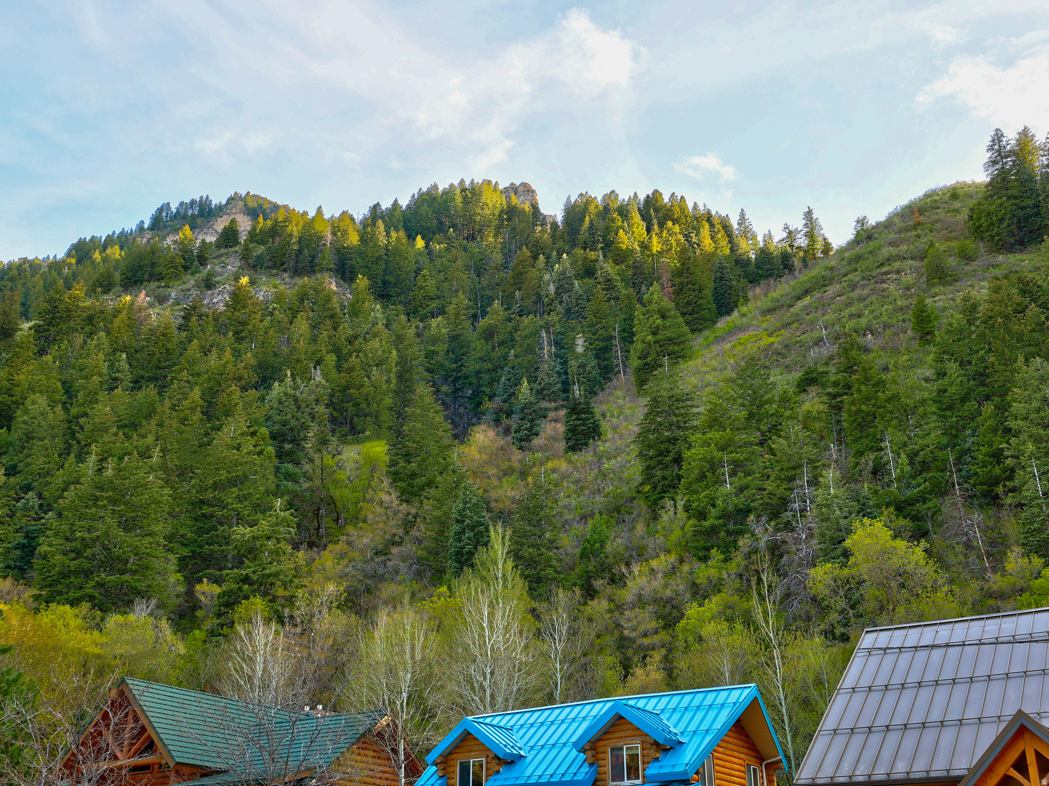 VIVIAN PARK - Residential