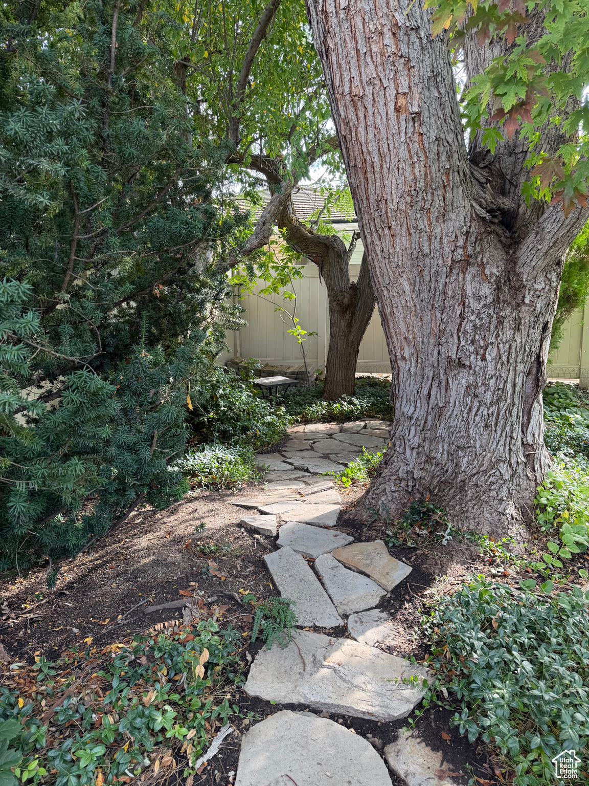 COTTONWOOD M - Residential