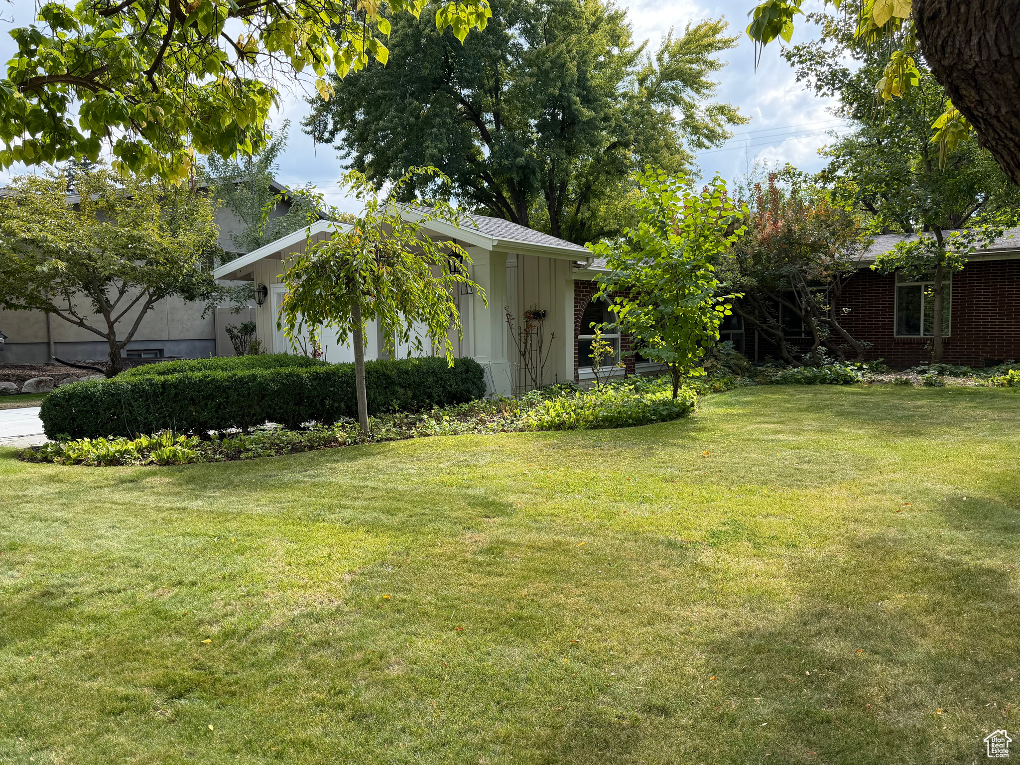 COTTONWOOD M - Residential