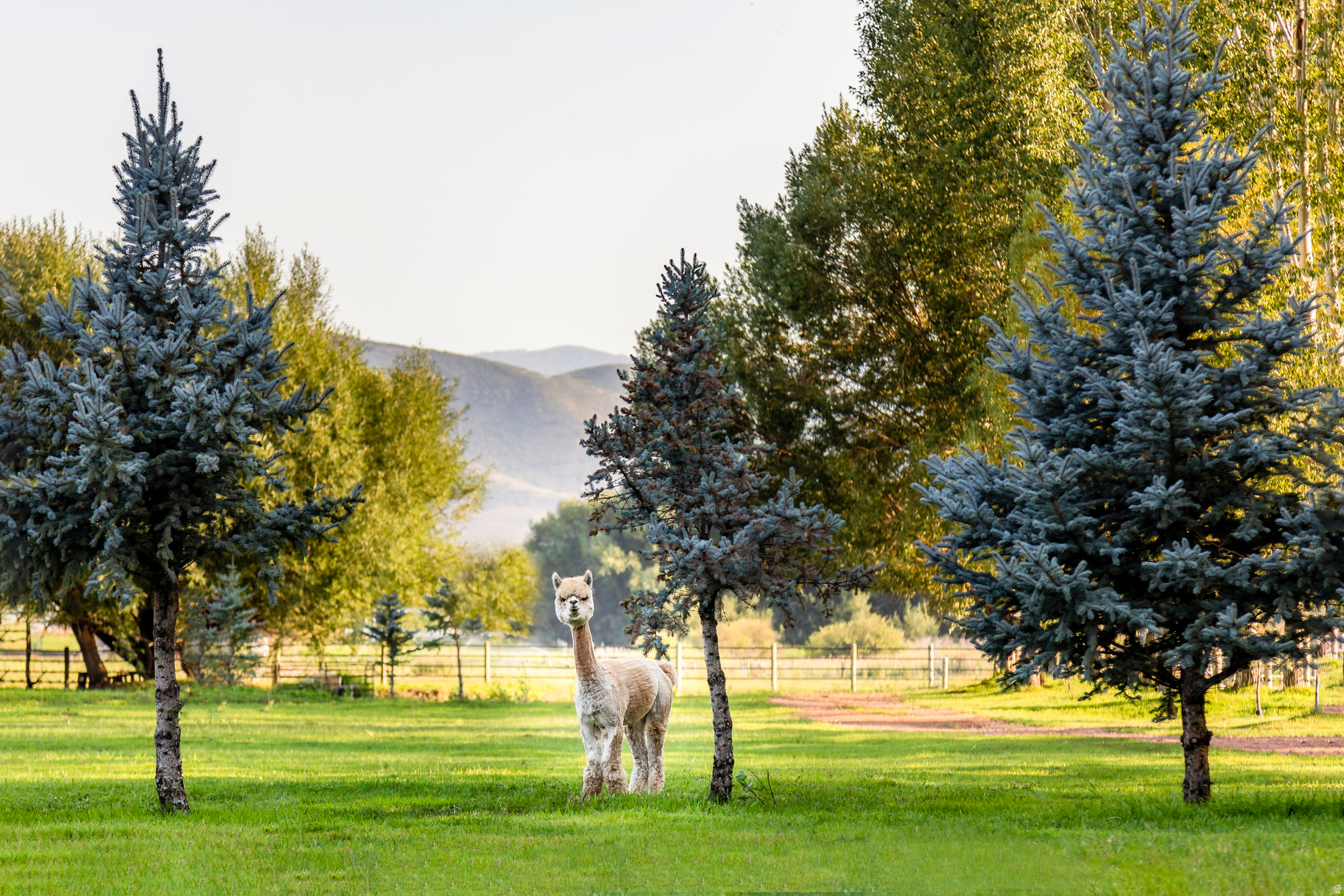 LEGACY RANCH - Residential