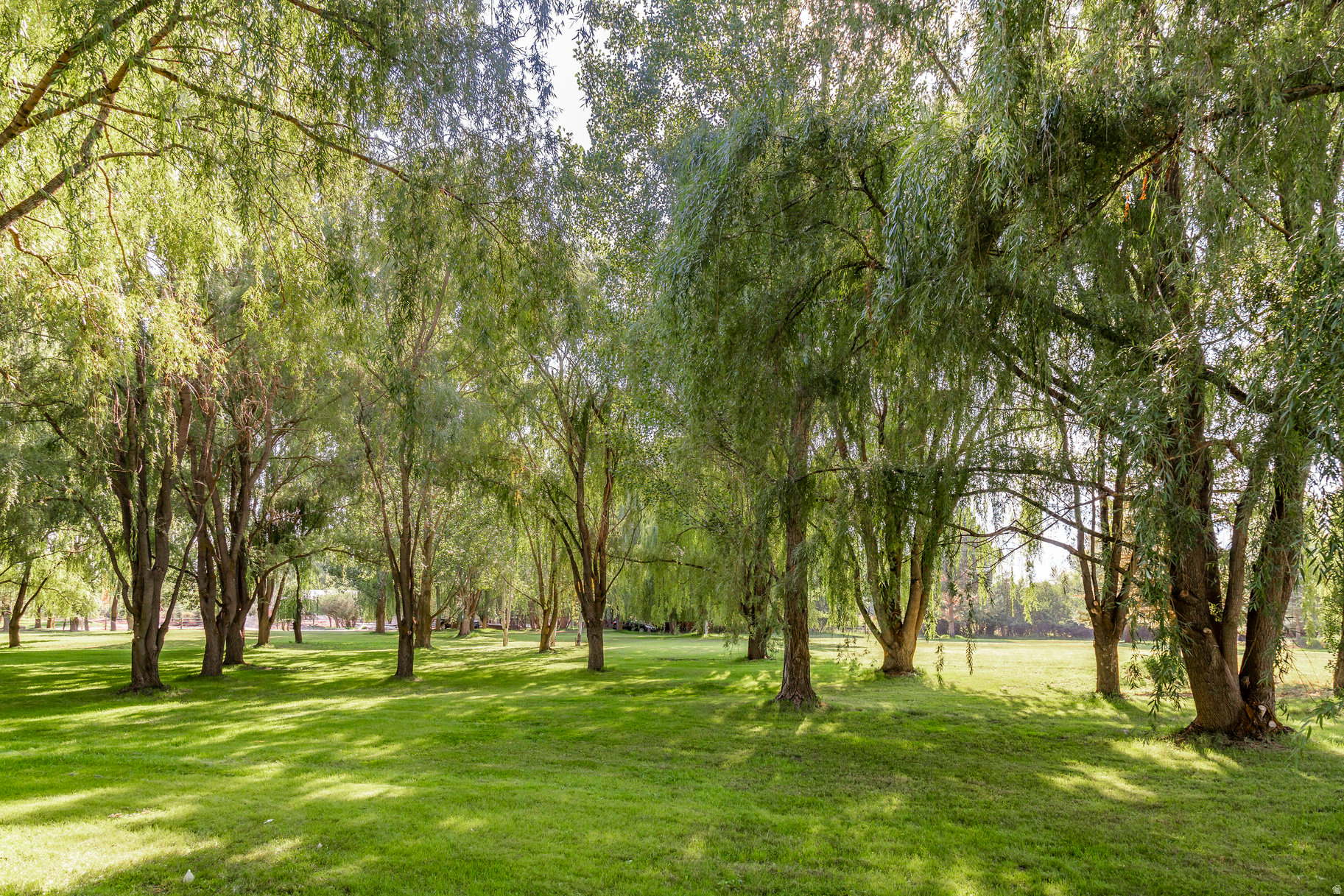 LEGACY RANCH - Residential