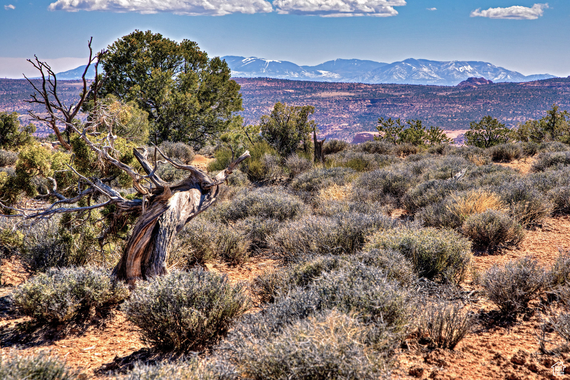 80 S Mountain Dr #17, Moab, Utah image 30