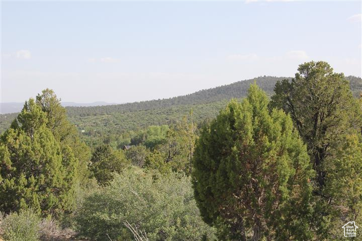 Land, Mount Carmel, Utah image 43