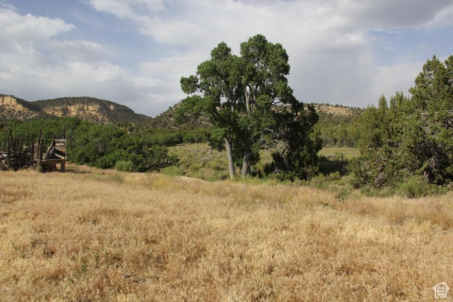 Land, Mount Carmel, Utah image 23