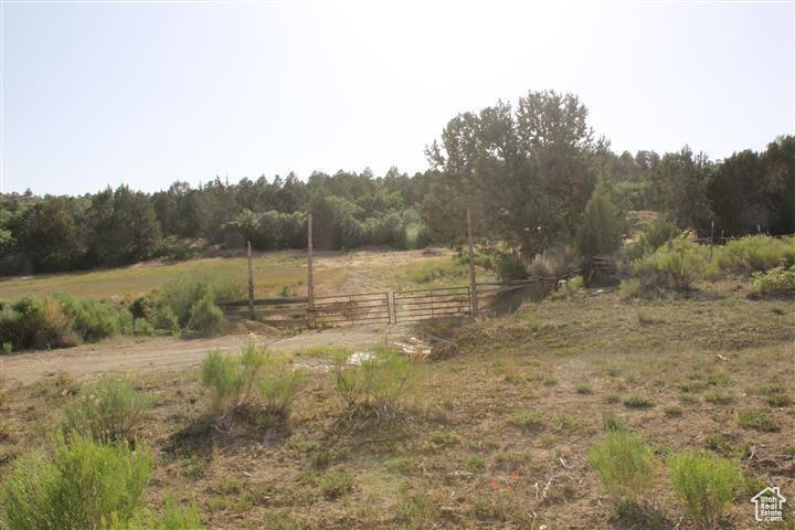 Land, Mount Carmel, Utah image 45