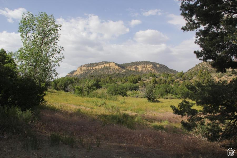 Land, Mount Carmel, Utah image 29