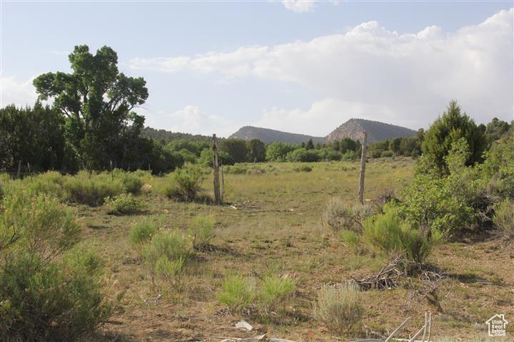 Land, Mount Carmel, Utah image 12
