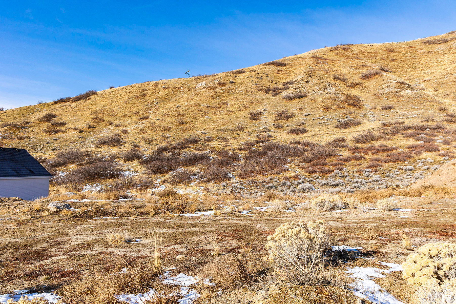 1677 N Elk Ridge Ln #18, Alpine, Utah image 2