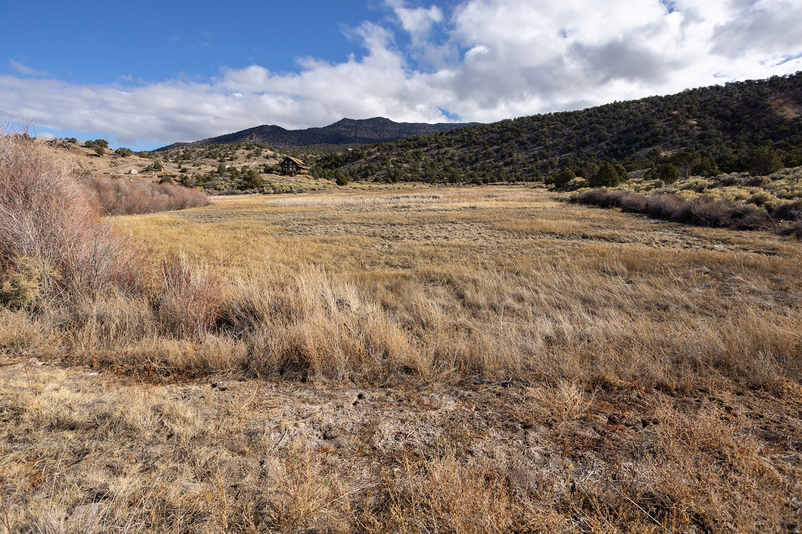 LITTLE MEADOWS - Land