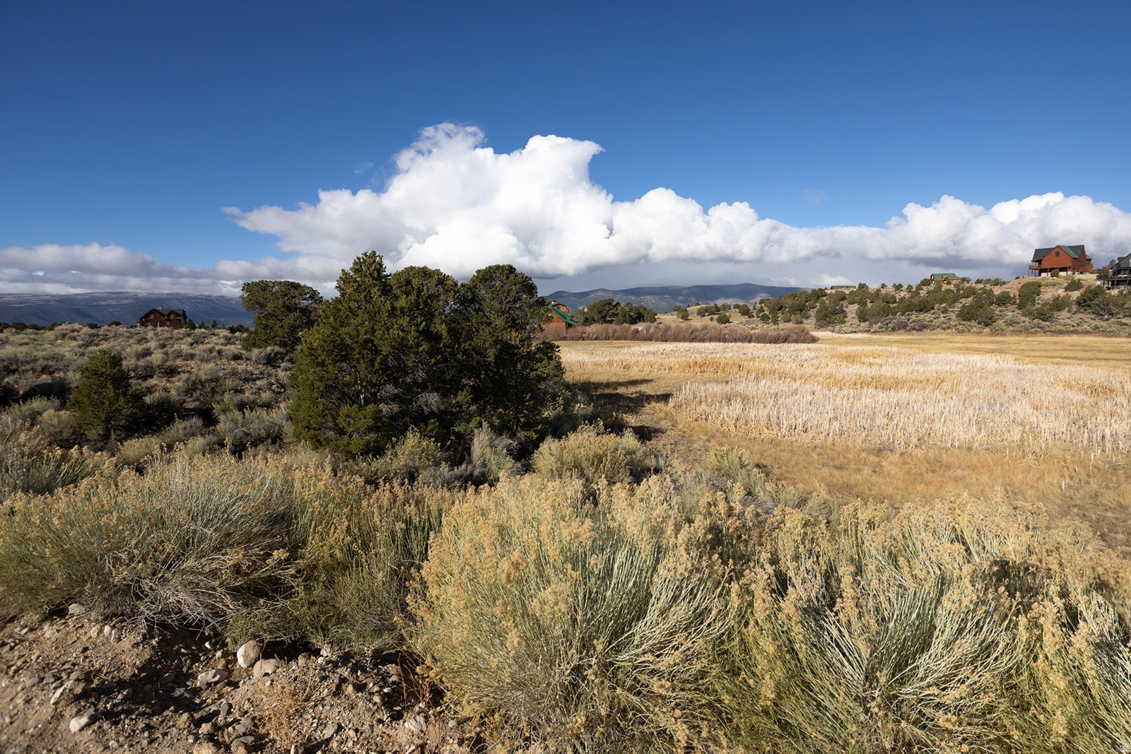 LITTLE MEADOWS - Land