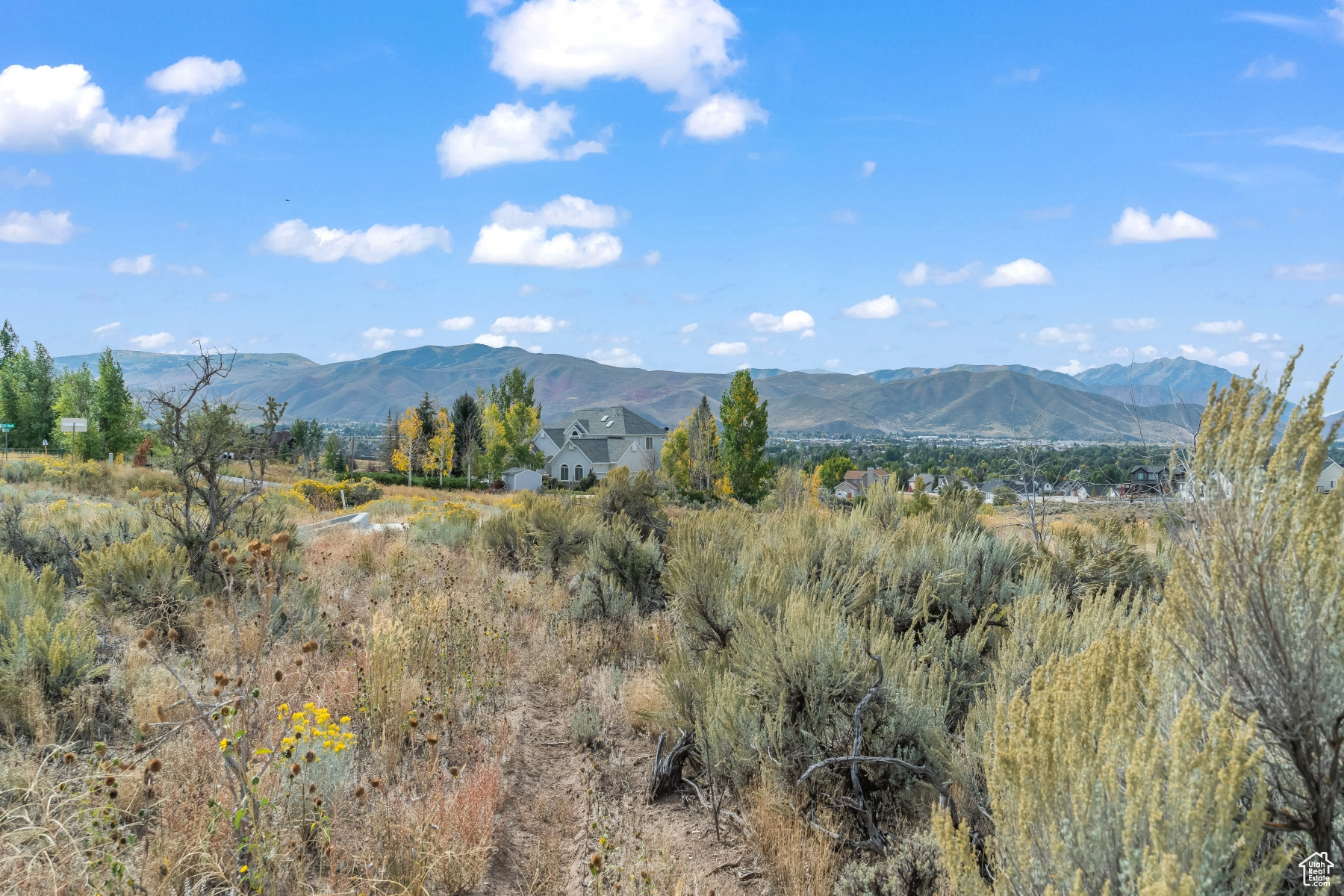 WASATCH VIEW ACRES - Land