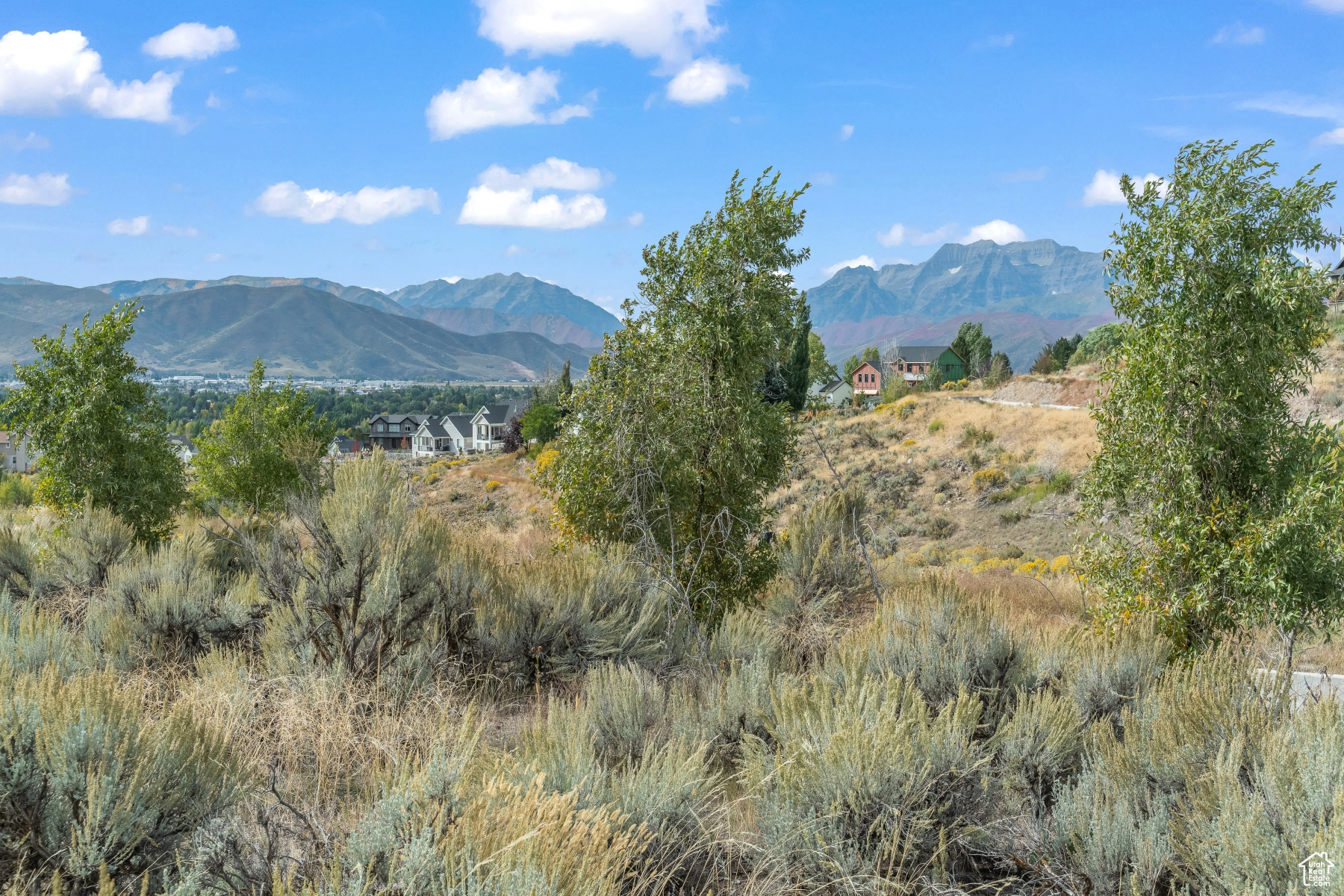 WASATCH VIEW ACRES - Land