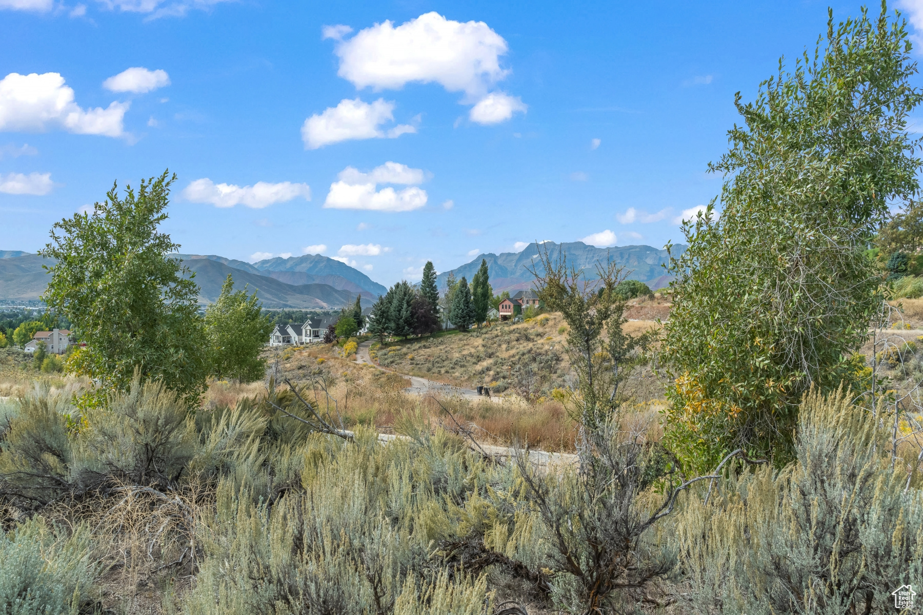 WASATCH VIEW ACRES - Land