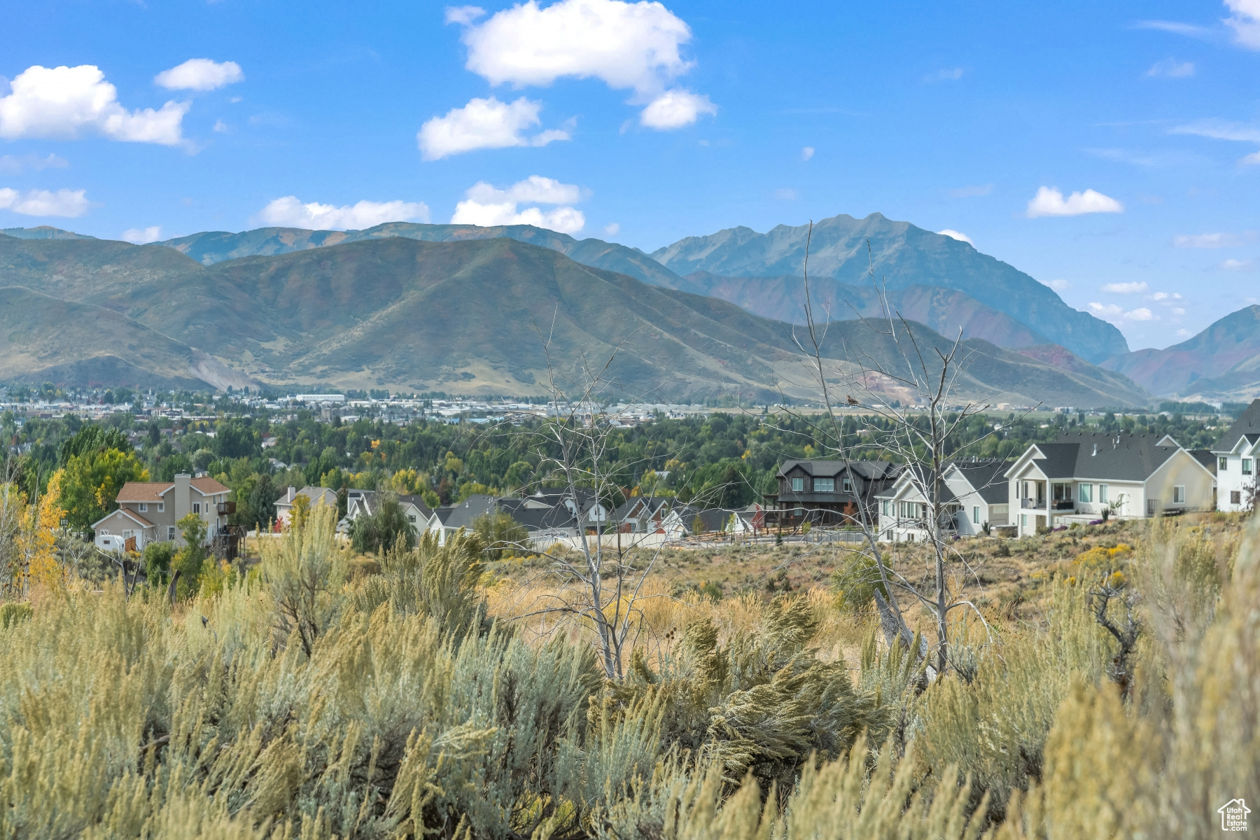 WASATCH VIEW ACRES - Land