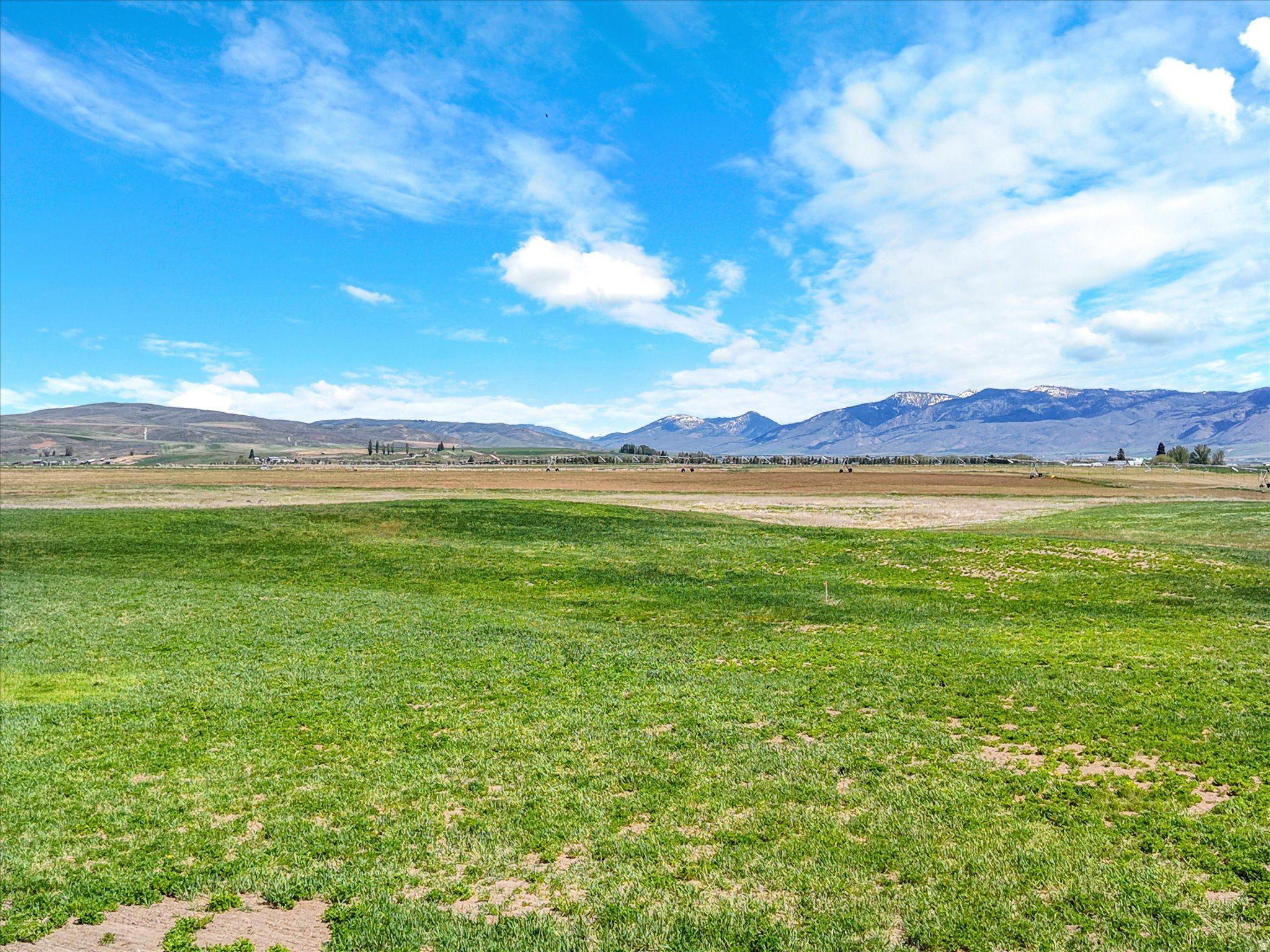 BAER ACRE FARMS SUB - Land