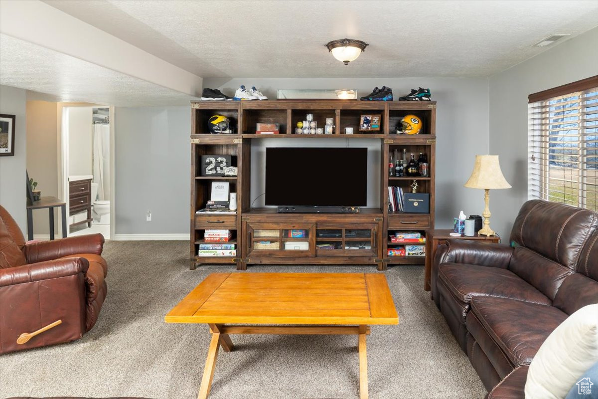 10285 N 7600, Tremonton, Utah image 19