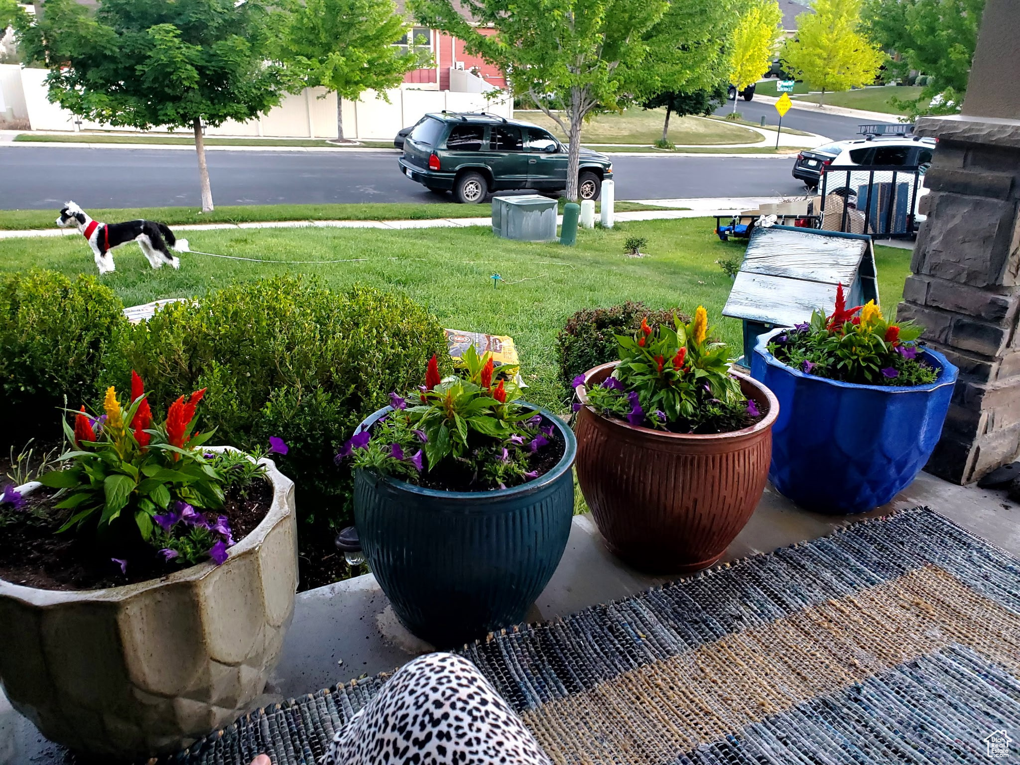 Elk Ridge, Utah 84651, United States, 6 Bedrooms Bedrooms, ,3 BathroomsBathrooms,Residential,Active,81712