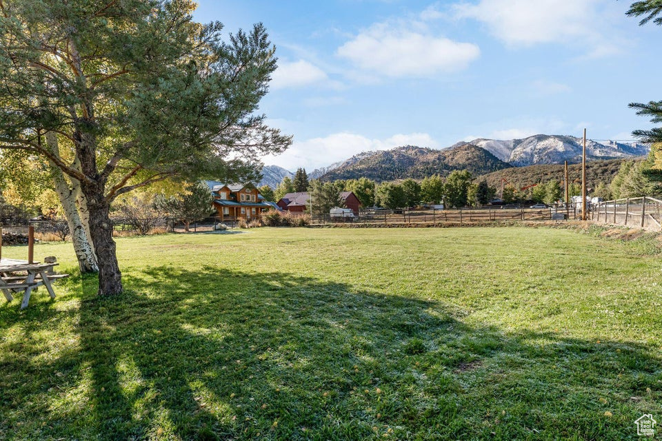 SADDLE HOUSE HOMESTEAD - Residential