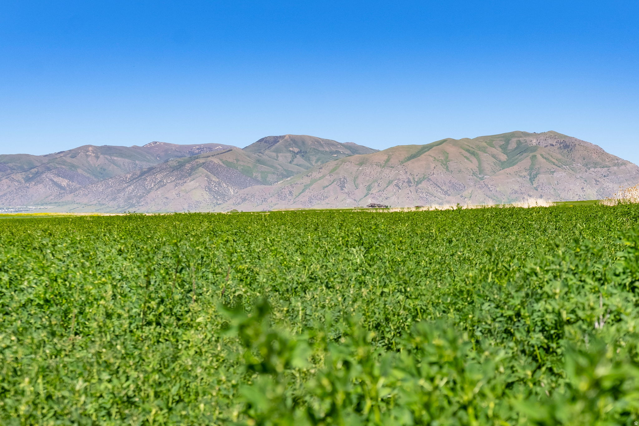 LEGACY RANCH ESTATES - Land