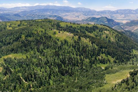 Tiny photo for 0, Paradise, UT 84328 (MLS # 2173684)