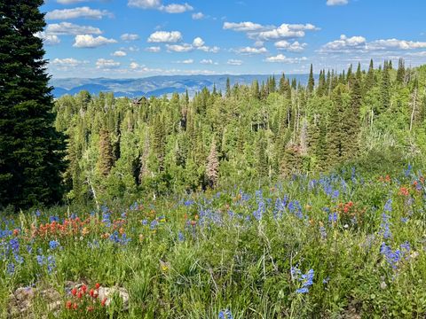 Tiny photo for 0, Paradise, UT 84328 (MLS # 2173684)